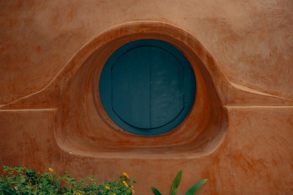 Découvrez les vins de rhône : héritage et Écologie au domaine martin