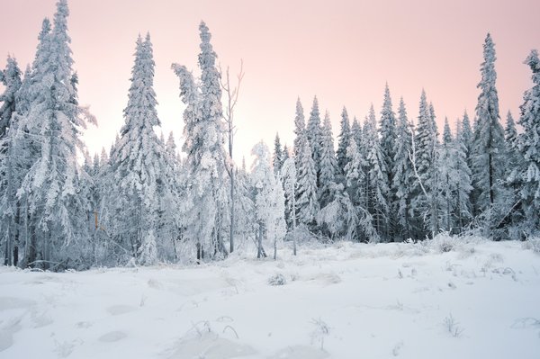 Quelles sont les meilleures techniques pour monter une tente sur sol enneigé?